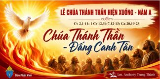 Lễ Chúa Thánh Thần Hiện Xuống – Năm A: Chúa Thánh Thần – Đấng Canh Tân