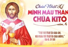 Lễ Mình và Máu Thánh Chúa Kitô, năm A: Các bài suy niệm & chú giải Lời Chúa