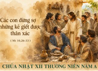 Chúa nhật XII thường niên, năm A: Các bài suy niệm & chú giải Lời Chúa