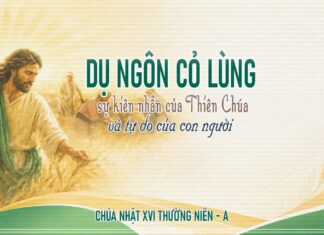 Chúa nhật XVI thường niên, năm A: Các bài suy niệm & chú giải Lời Chúa