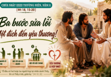 Chúa nhật XXIII thường niên, năm A: Các bài suy niệm & chú giải Lời Chúa